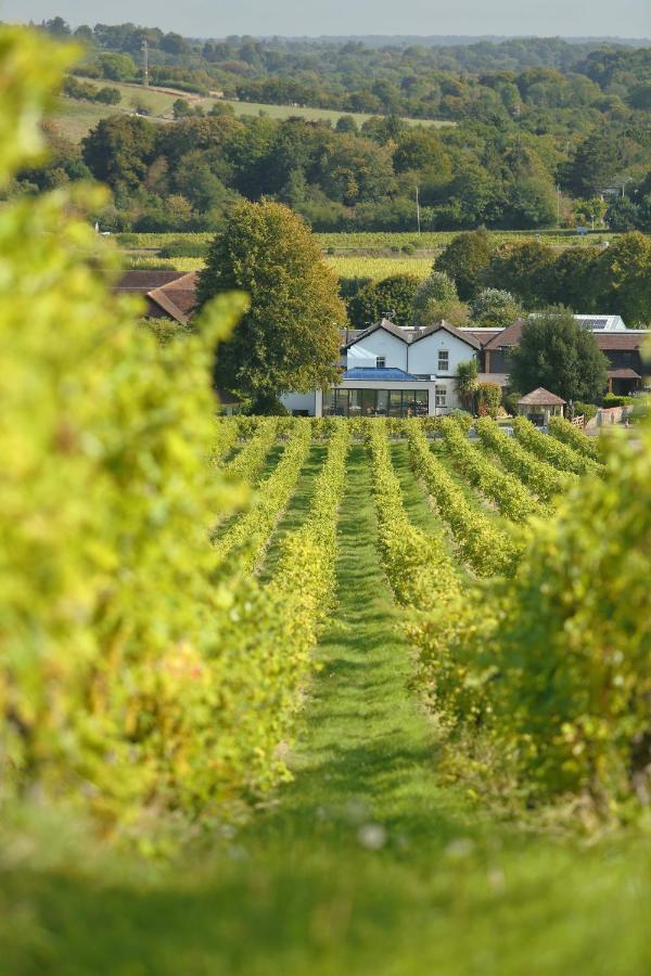 Denbies Vineyard Hotel Dorking Eksteriør billede