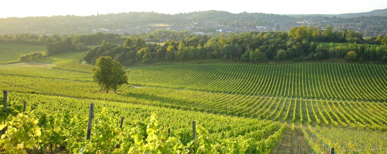 Denbies Vineyard Hotel Dorking Eksteriør billede
