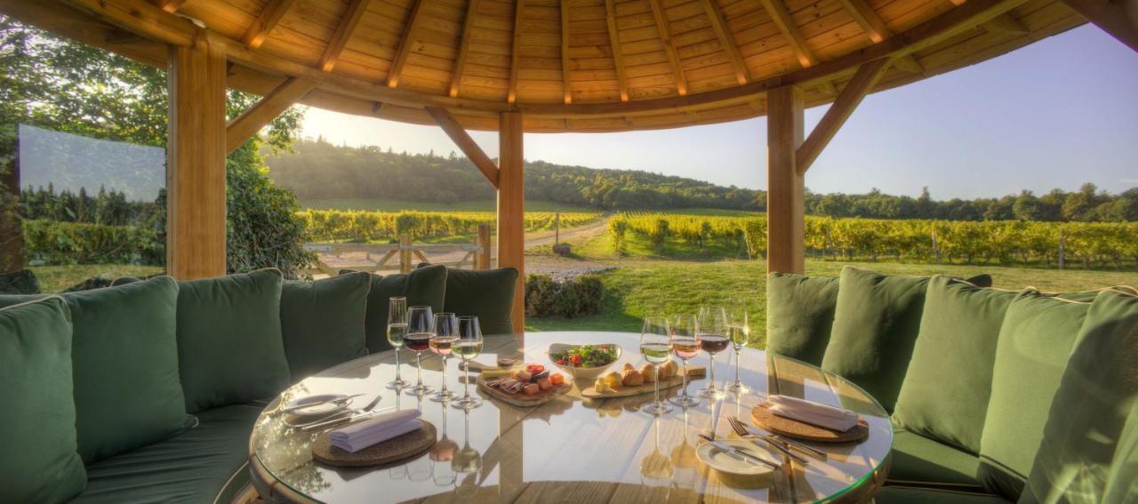 Denbies Vineyard Hotel Dorking Eksteriør billede