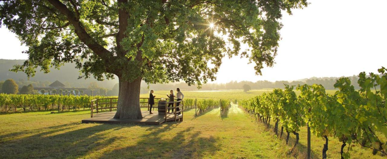 Denbies Vineyard Hotel Dorking Eksteriør billede
