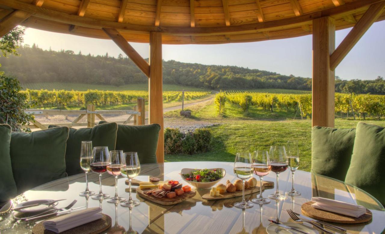 Denbies Vineyard Hotel Dorking Eksteriør billede