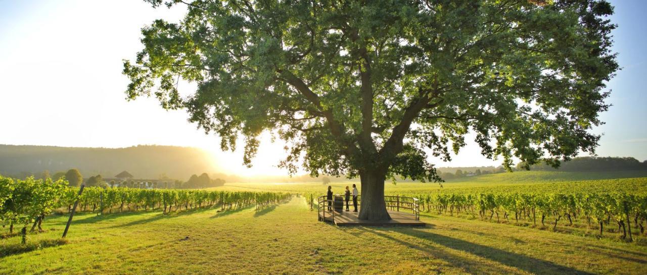 Denbies Vineyard Hotel Dorking Eksteriør billede