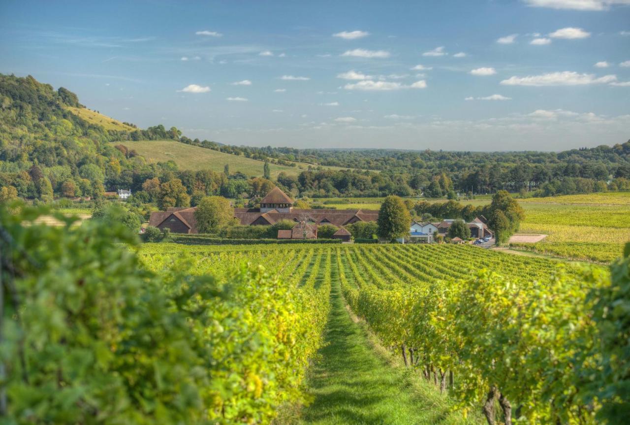 Denbies Vineyard Hotel Dorking Eksteriør billede